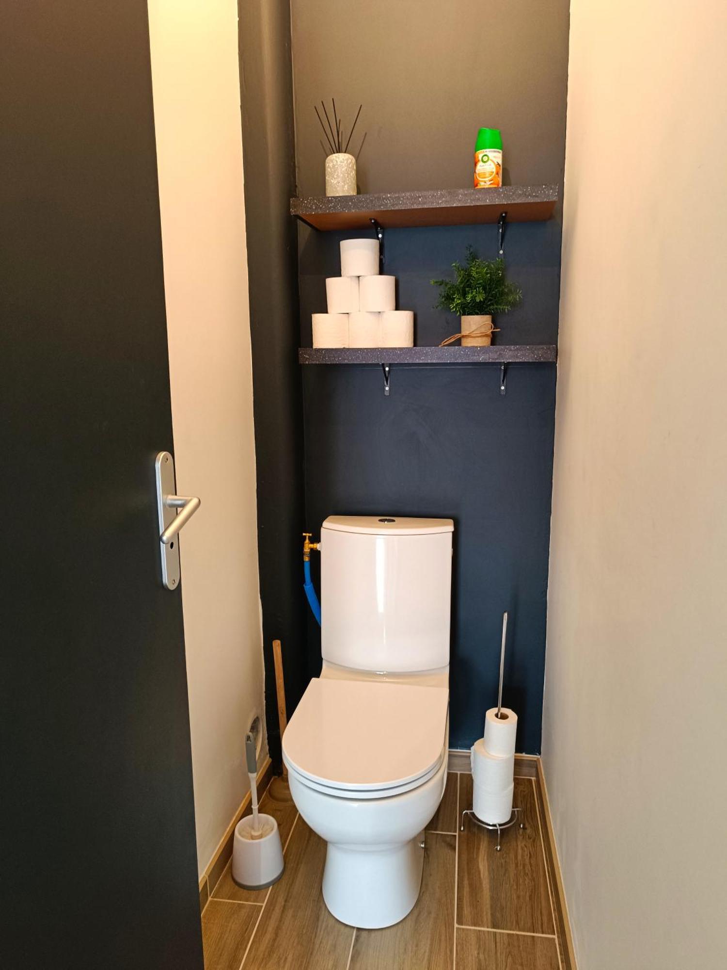 La Belle Aude Climatise Appartement *